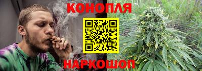 гашик Гай
