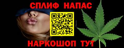 гашик Гай