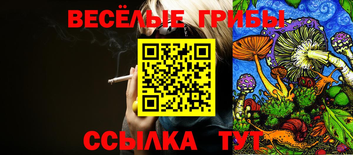Галлюциногенные грибы Cubensis Нижнекамск