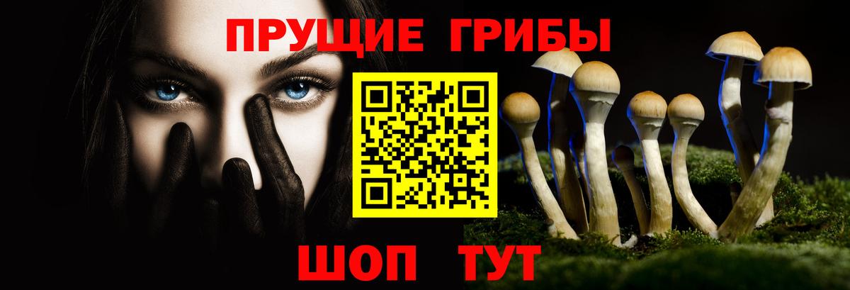 Псилоцибиновые грибы Magic Shrooms  Псилоцибиновые грибы мицелий  Вход с VPN  Нижнекамск 